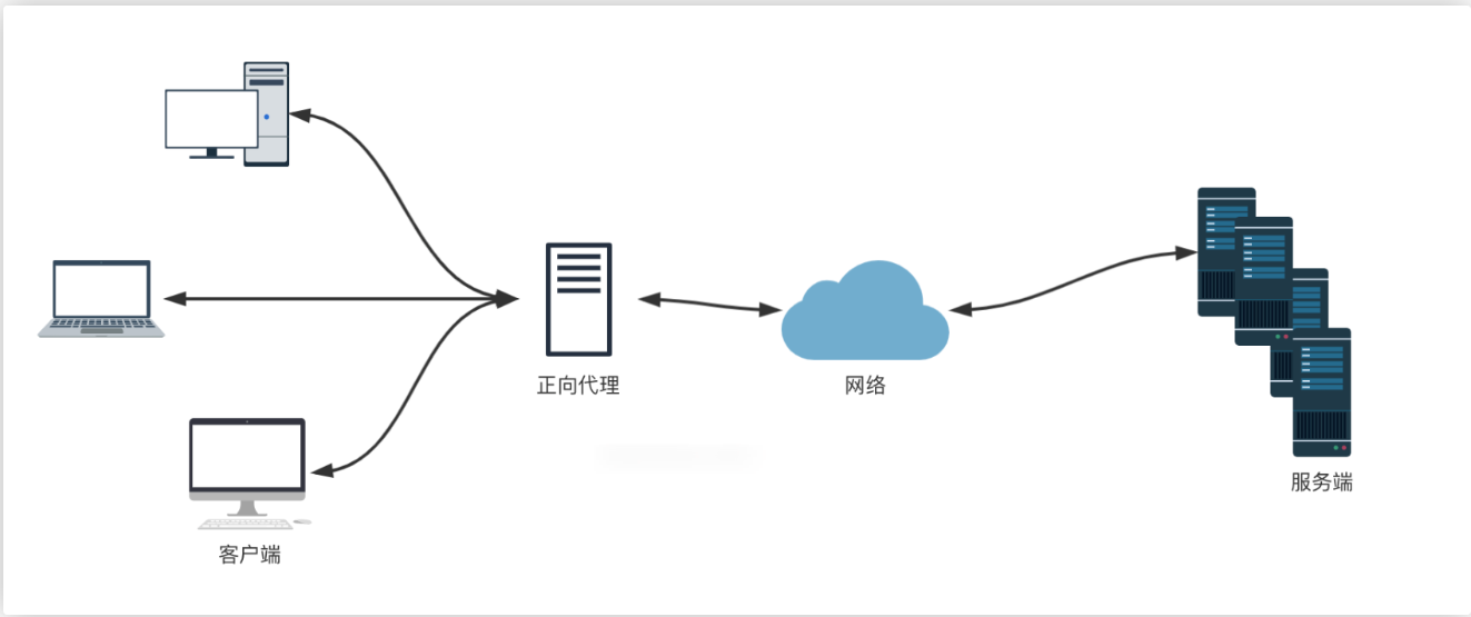 image-20250402150619727