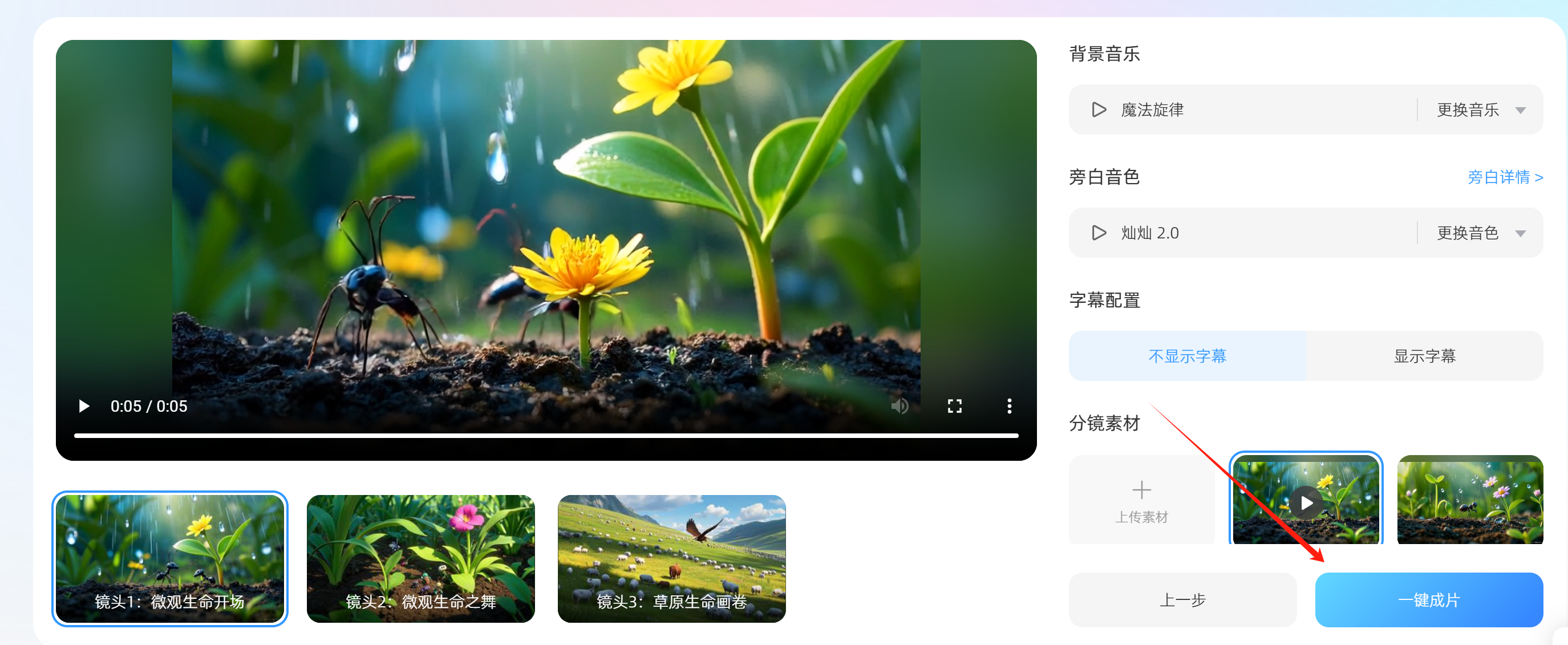 image-20250227141733494