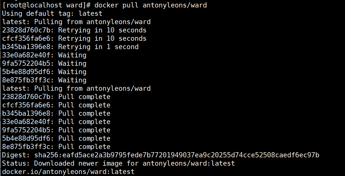 image-20250211170632264
