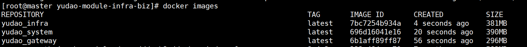 image-20250309222725894