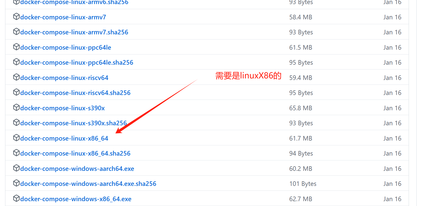 image-20250310154859347