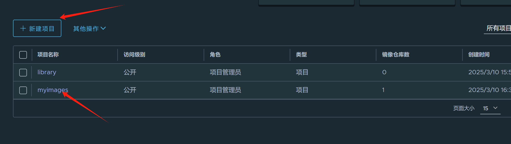 image-20250310163926980