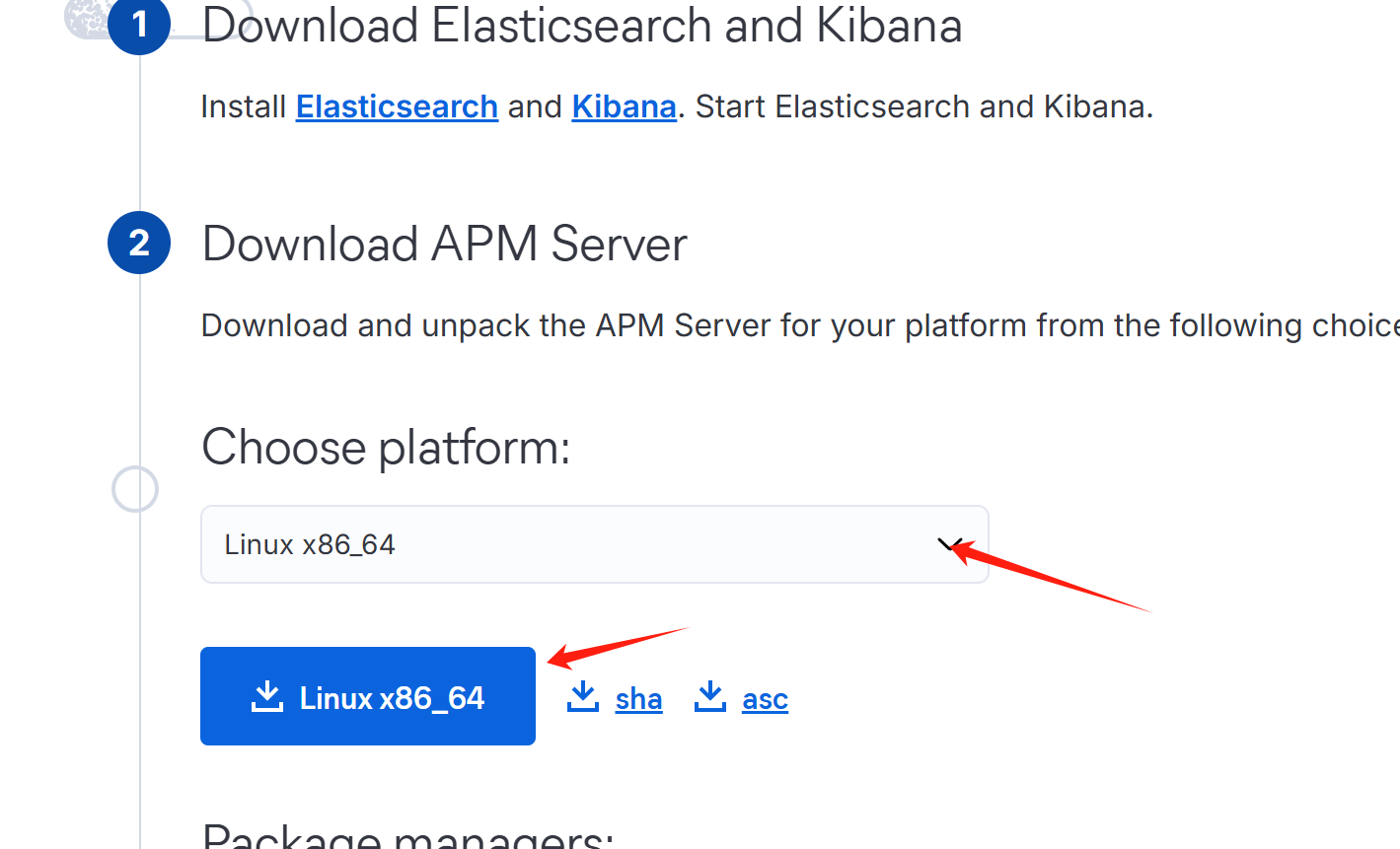 image-20250315144547959