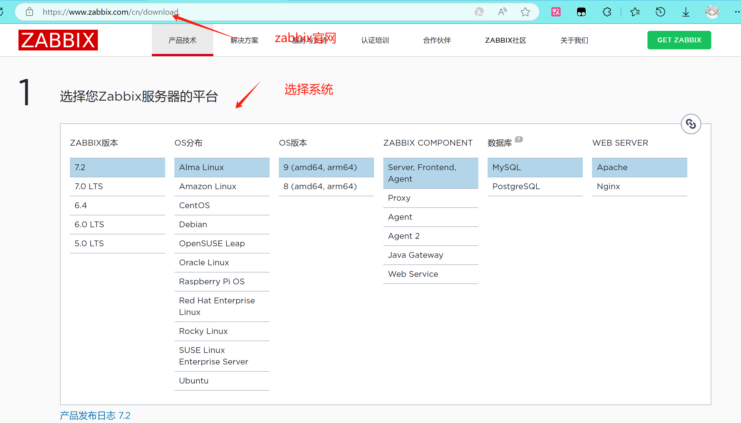 image-20241227125534220